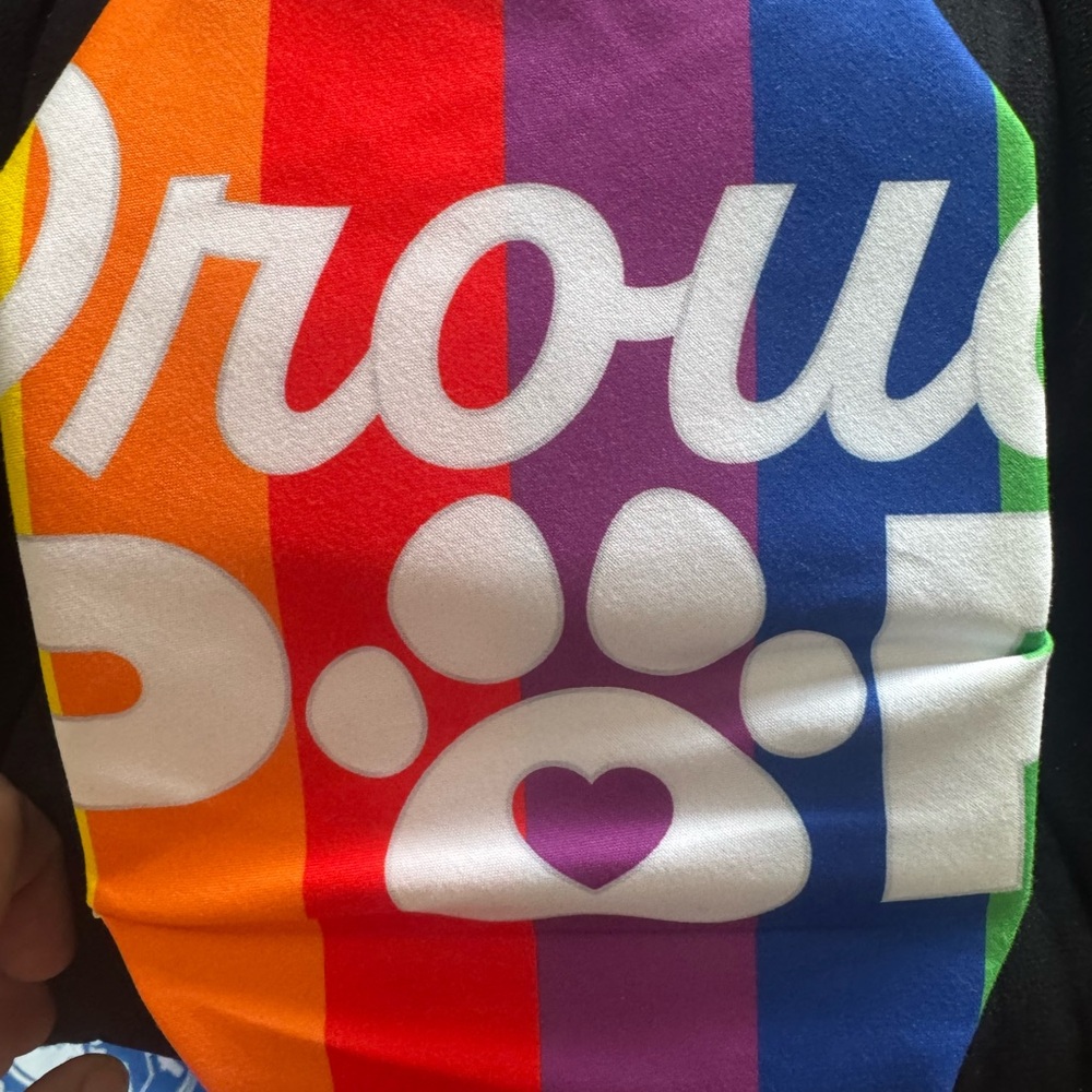 & Other Stories Rainbow Dog Shirt
